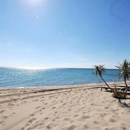 Evasion En Milieu Forestier Argeles-sur-Mer